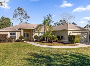 10233 Spring Moss Ave, Clermont, FL 34711