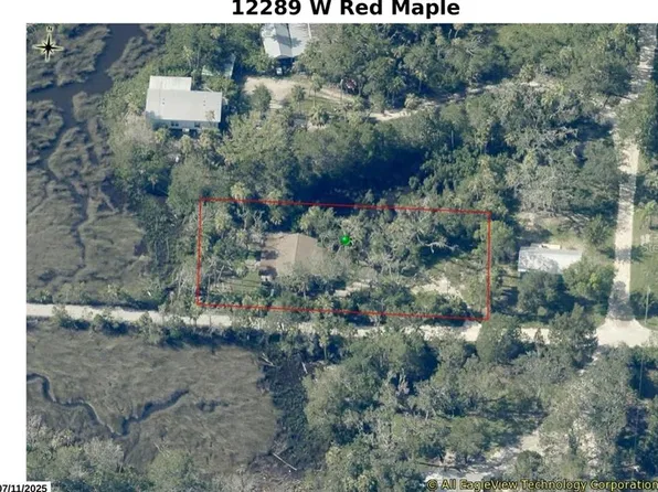 12289 W Red Maple ST, HOMOSASSA FL 34448, Homosassa, FL 34448