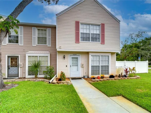 16335 Rambling Vine Dr W, Tampa, FL 33624