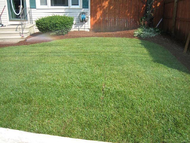 Irrigation & sod installation, July 2011