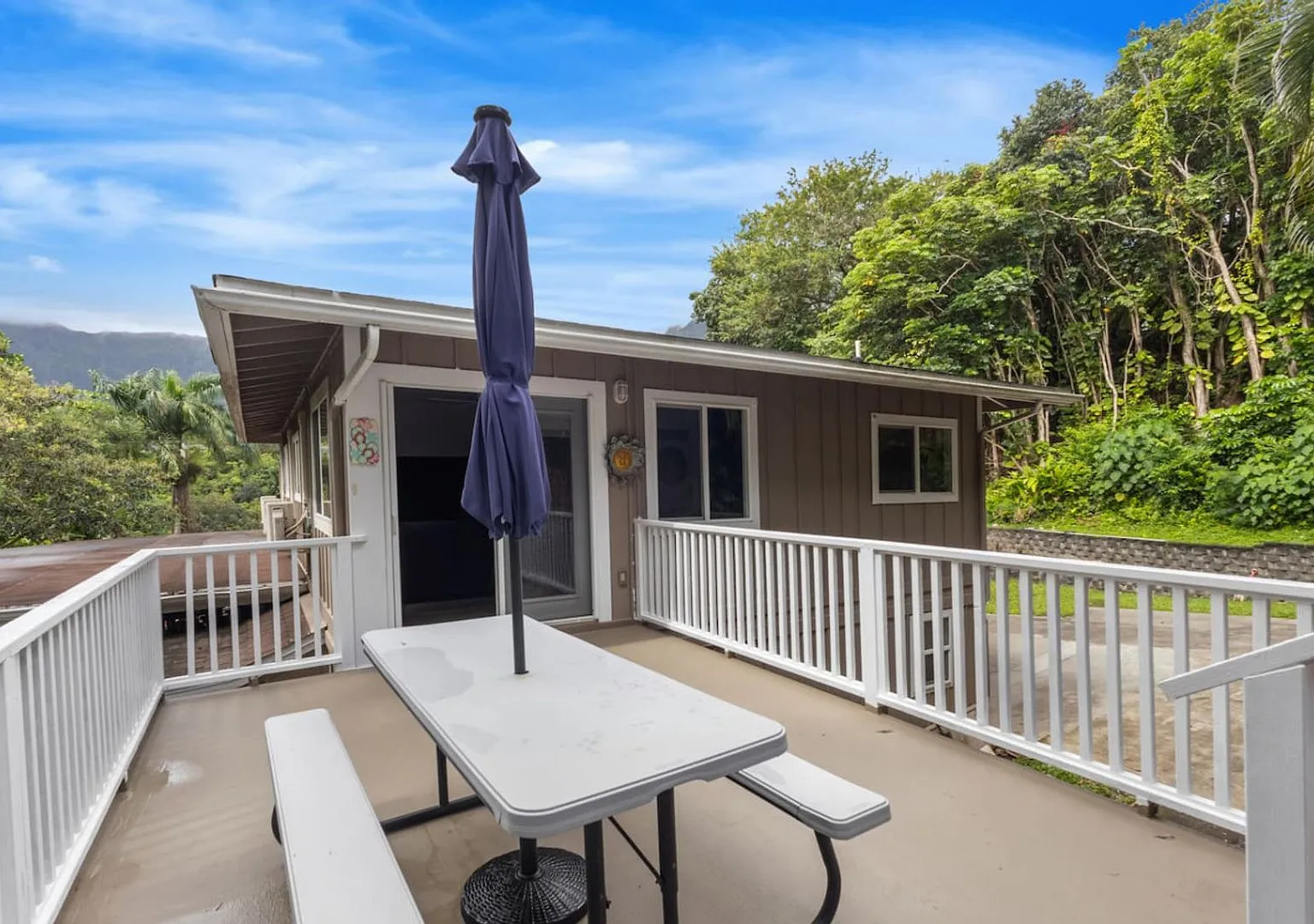 Secluded Forest Retreat | Full Kitchen, AC, W/D — Photo 4