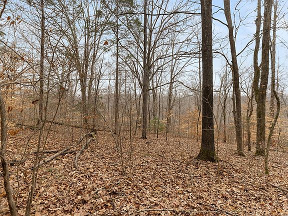 5th image of 0 Griffintown Rd Lot 1