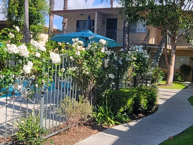 Palm Court Apartments — Photo 14