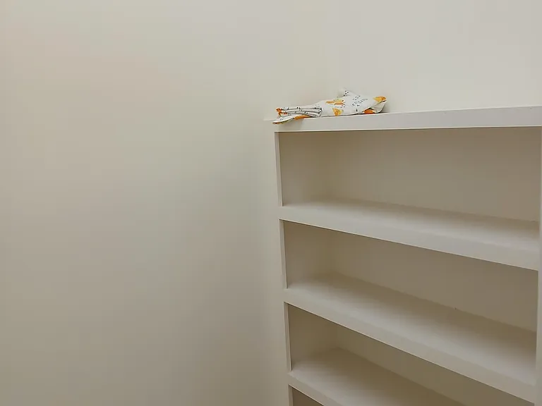 View of large pantry area off of kitchen