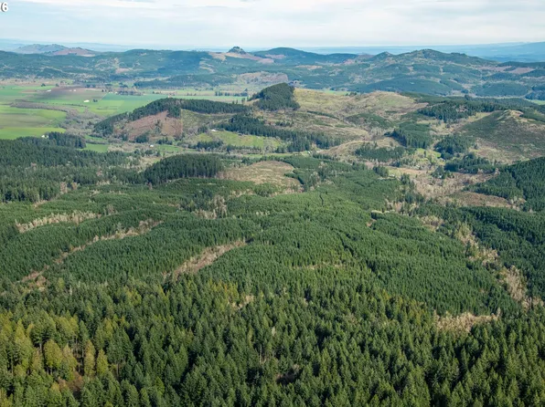 Courtney Creek Dr, Brownsville, OR 97327