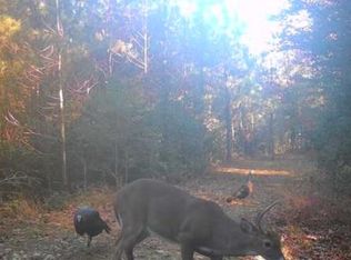 6 Fox Chase Dr, Dendron, VA 23839