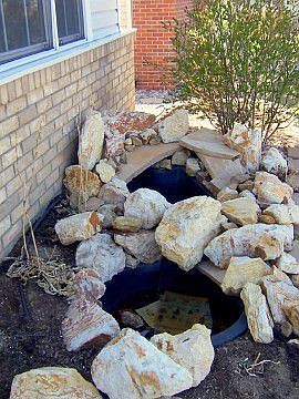 with a Water Feature/ Pond in the Front Yard