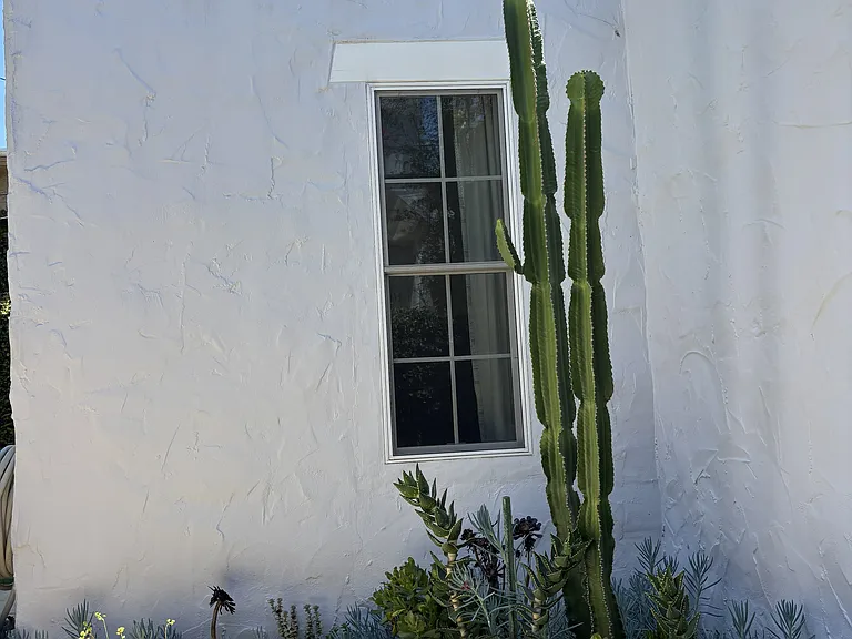 Succulent garden outside bedroom window