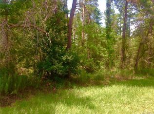 62 Village Center Dr, Homosassa, FL 34446