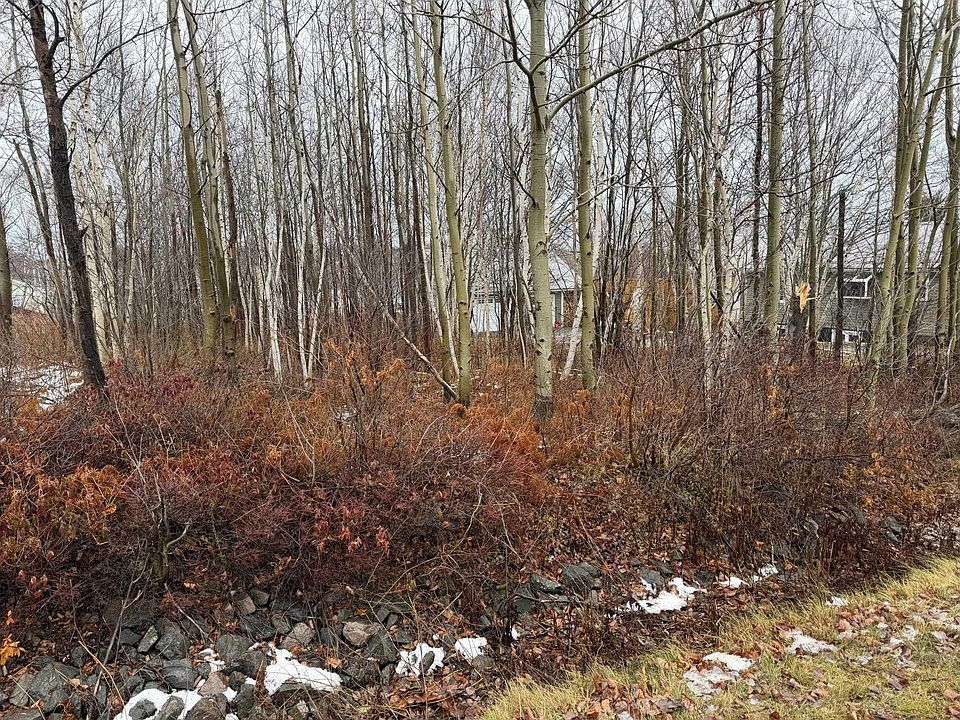 2nd image of LOT 76 Yorke St
