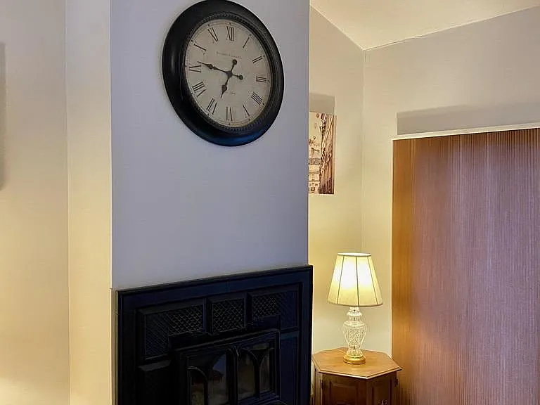 Wood burning fireplace