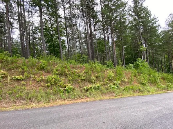 236 Kathrine Rd, Blairsville, GA 30512