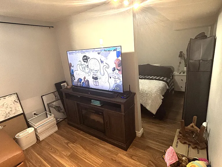 115 Clansman Trl #BASEMENT — Photo 6