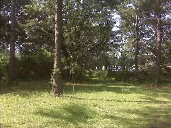 5605 Savannah Hwy, Ravenel, SC 29470