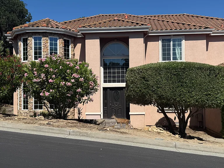 8501 Mossrose Way — Photo 41