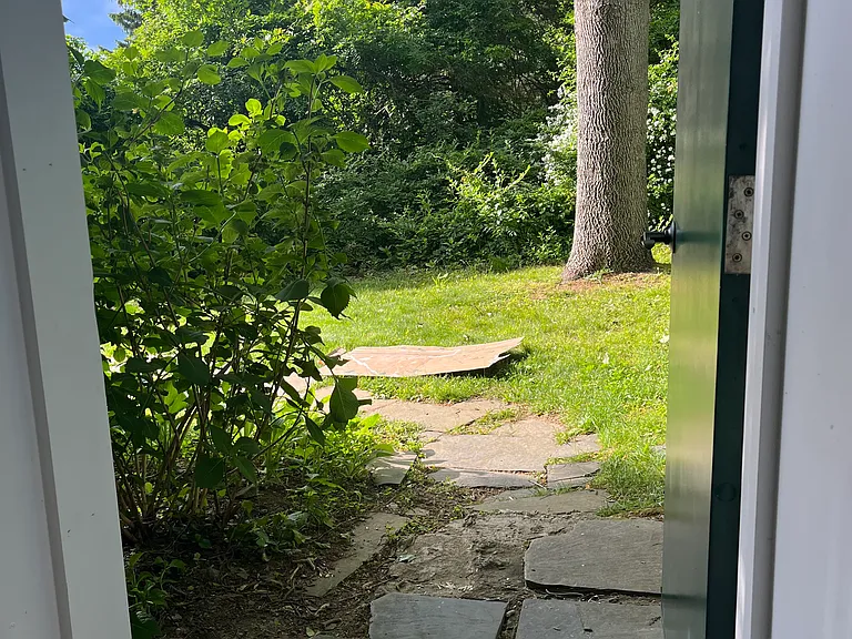Woodsy Exit