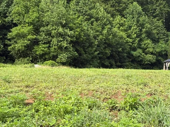 187 Tennessee #32, Cosby, TN 37722