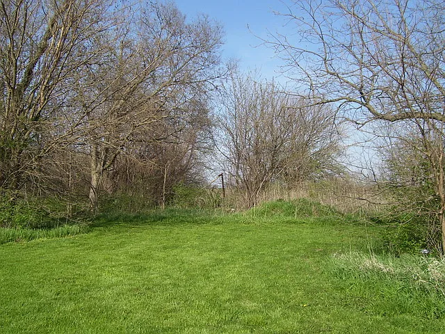 19920 W Wilmington Peotone Rd photo 1