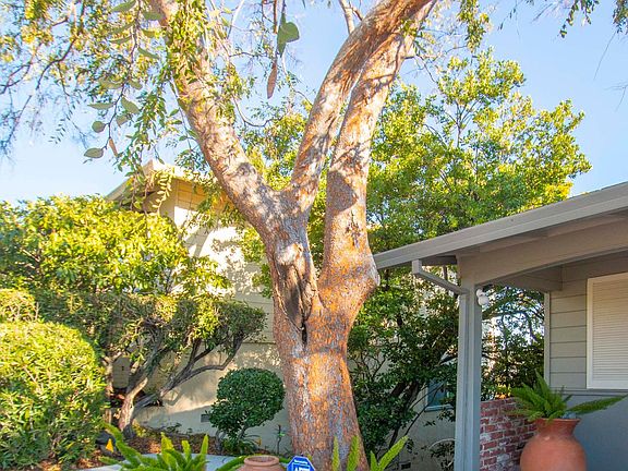 Beautiful landsacaping