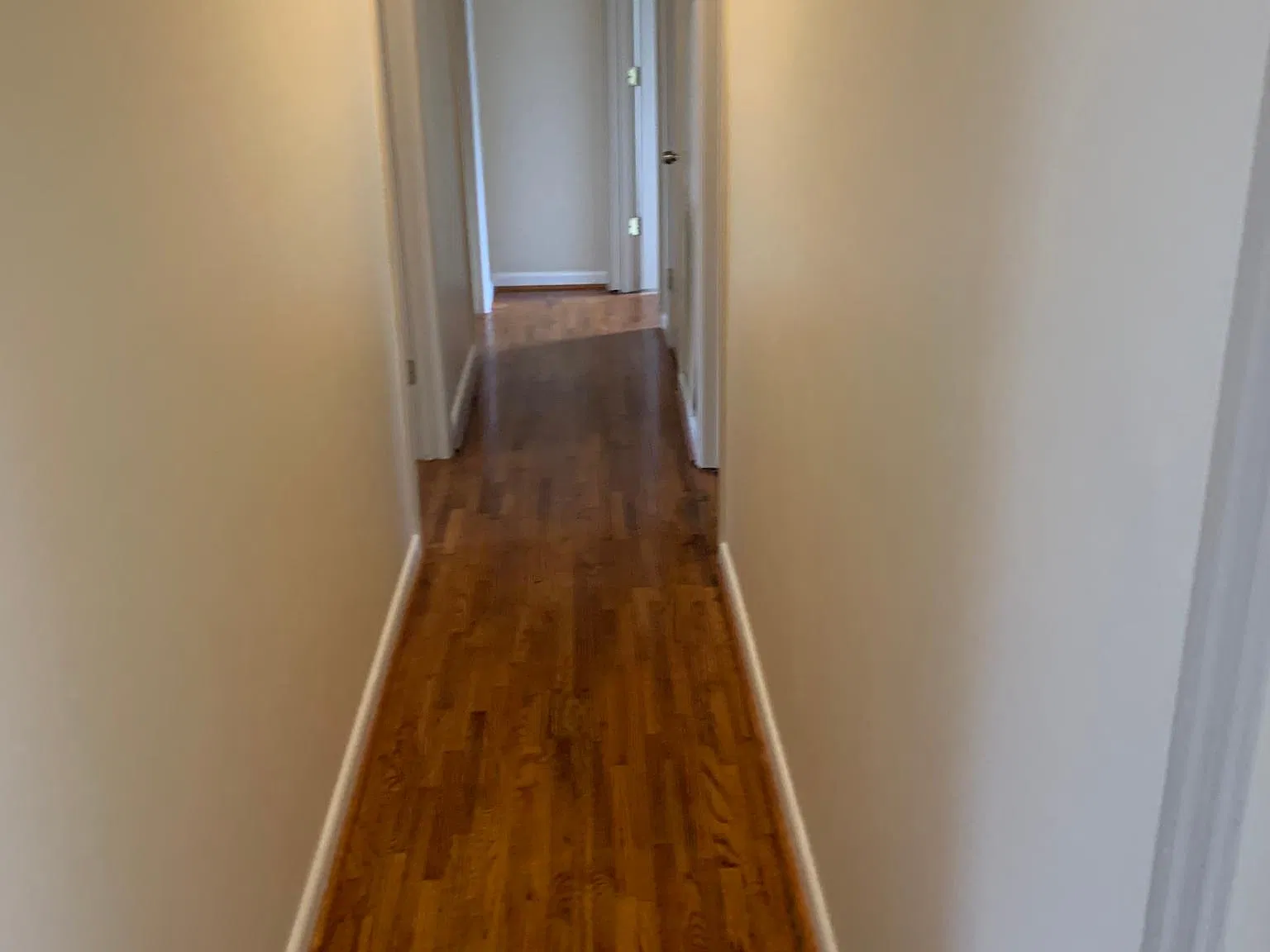 653 Revels Dr — Photo 4