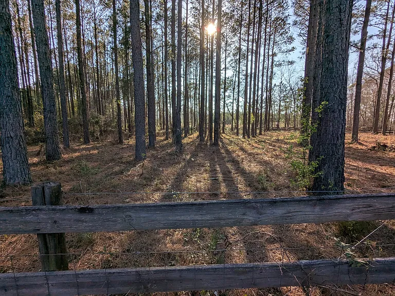 250 Cassie Ree Rd — Photo 3