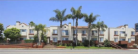 Brighton Vista Apartments — Photo 19