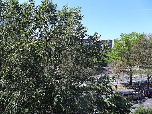 Rented by JMKBK LLC. | media 10