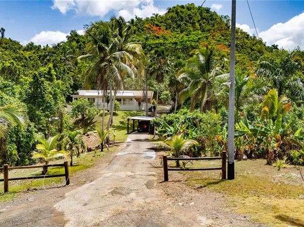 Commons Cienguetas 33 Bo Esperanza, Arecibo, PR 00612