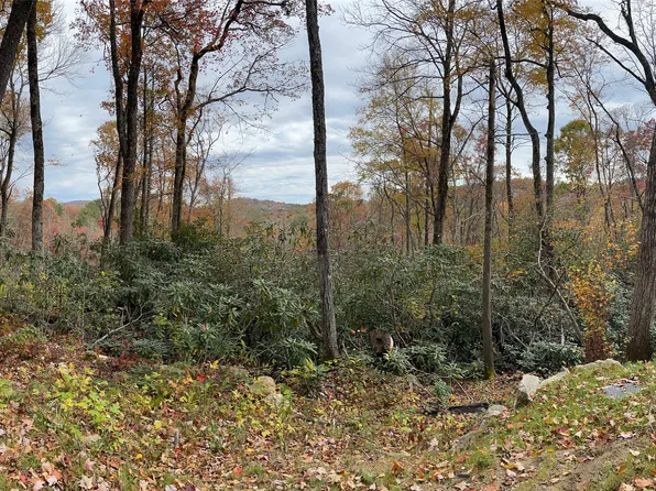 10 GlenCove Drive, Cashiers, NC 28717