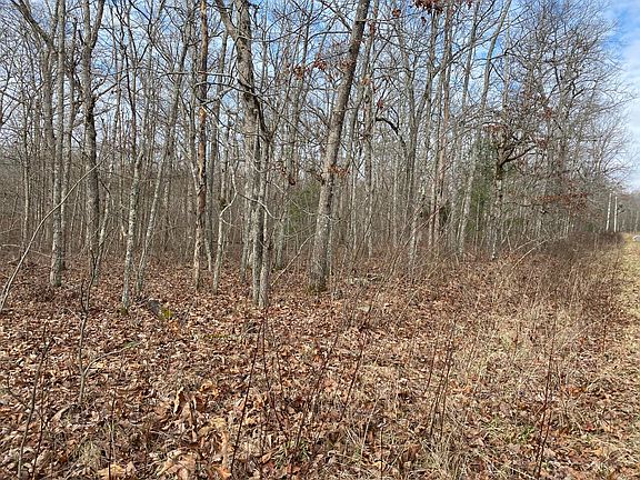 2nd image of 2040 Tres Cir Lot 260