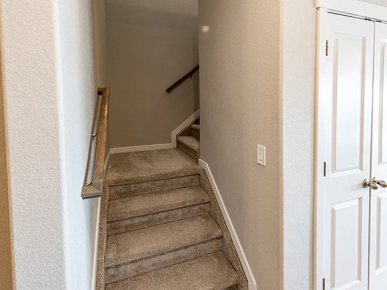 7877 Buffalo Horn Dr — Photo 50