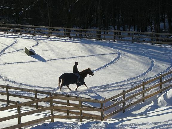 Lighted Riding Ring