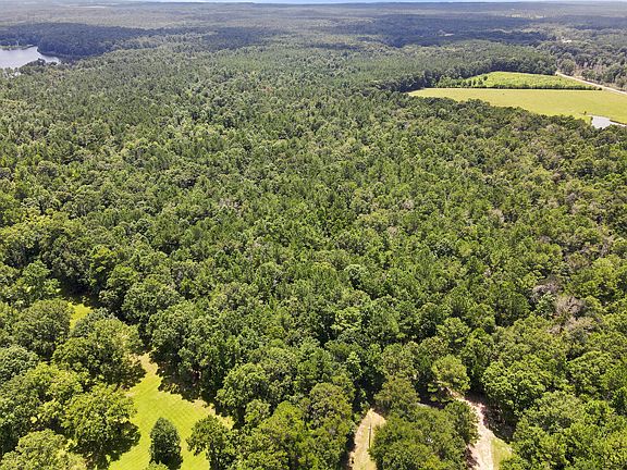2nd image of 491 Rawls Springs Loop Rd