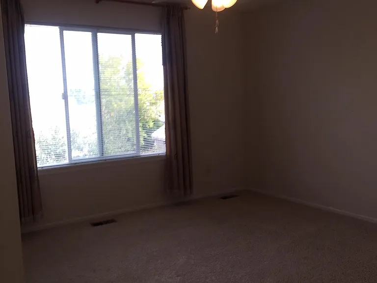 923 Grays Peak Dr — Photo 37