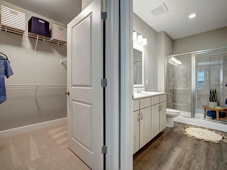 Primary Bathroom and Walk-in Closet