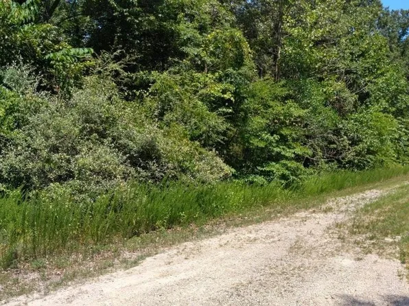 002-11125-038 Big Tree Ct, Elizabeth, AR 72531