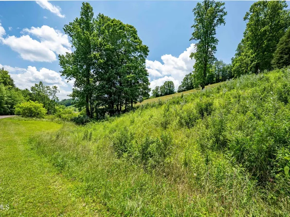 Tdb Ridgeview Dr, Mountain City, TN 37683