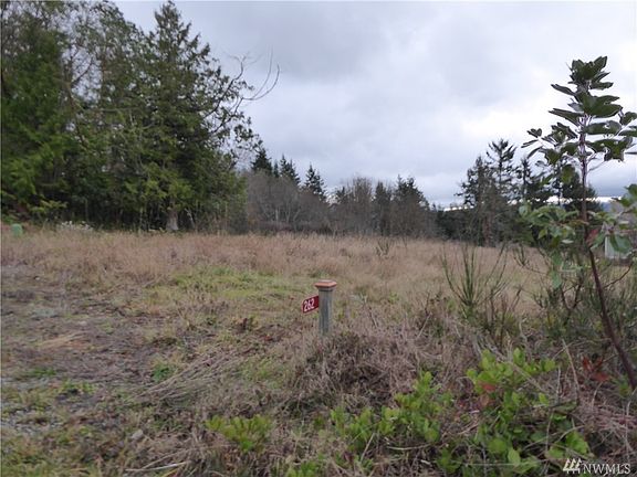 Looking from the NW corner of Lot 24 toward Lot 10, the mountains and the bay.