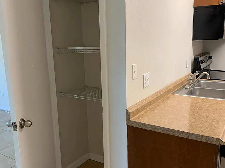 Pantry closet near kitchen