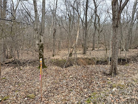 2nd image of Montana Rd