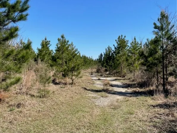 0 Rocky Ford Road, Sylvania, GA 30467