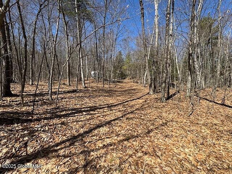 5th image of L37.6 East Green Pond Way