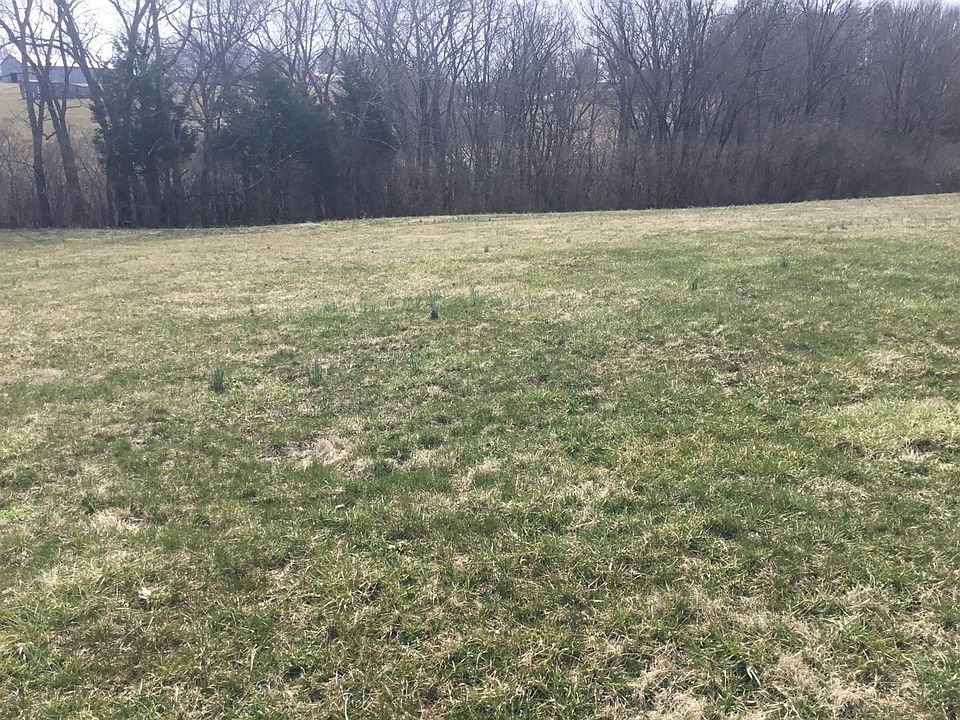 1st image of 8 Chelsea Dr