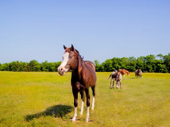 5571 County Road 4606, Commerce, TX 75428