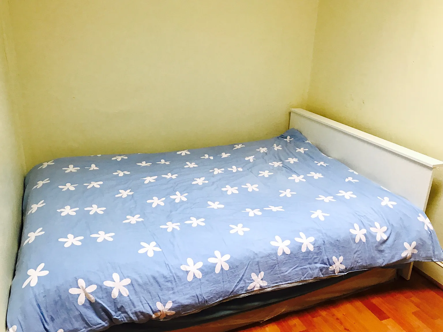 1 bed, 100 sqft, $450 — Photo 3