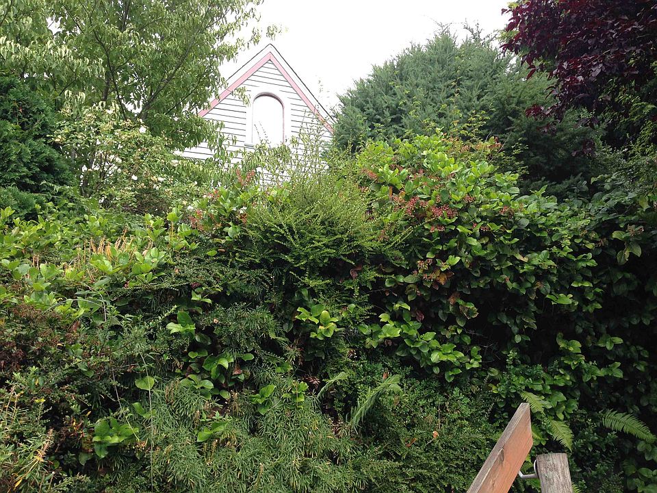 1st image of 5526 31st Ave NE