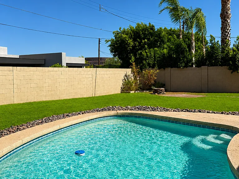 pool and palm trees