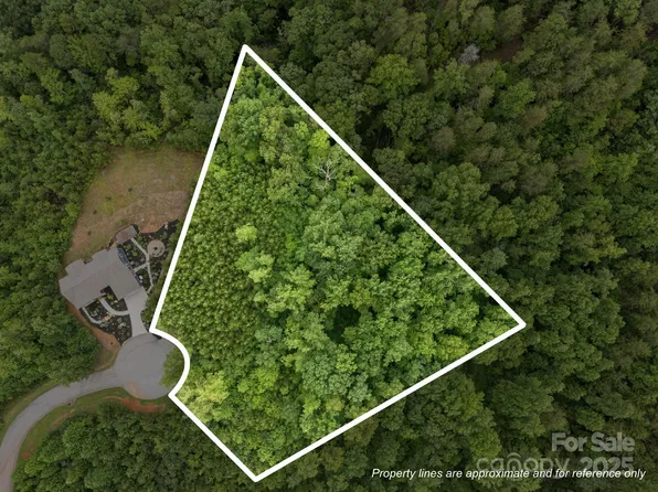 0 Deer Jump Trl #351, Lake Lure, NC 28746