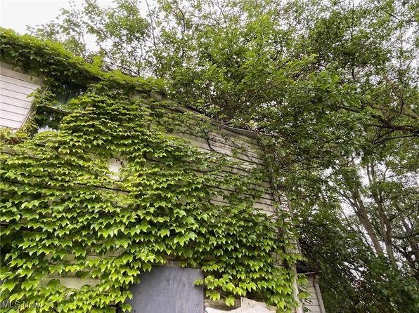 cleveland-ohio-33385186 picture