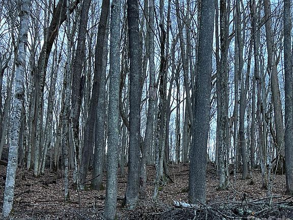 4th image of 0 Fox Den Rd #109